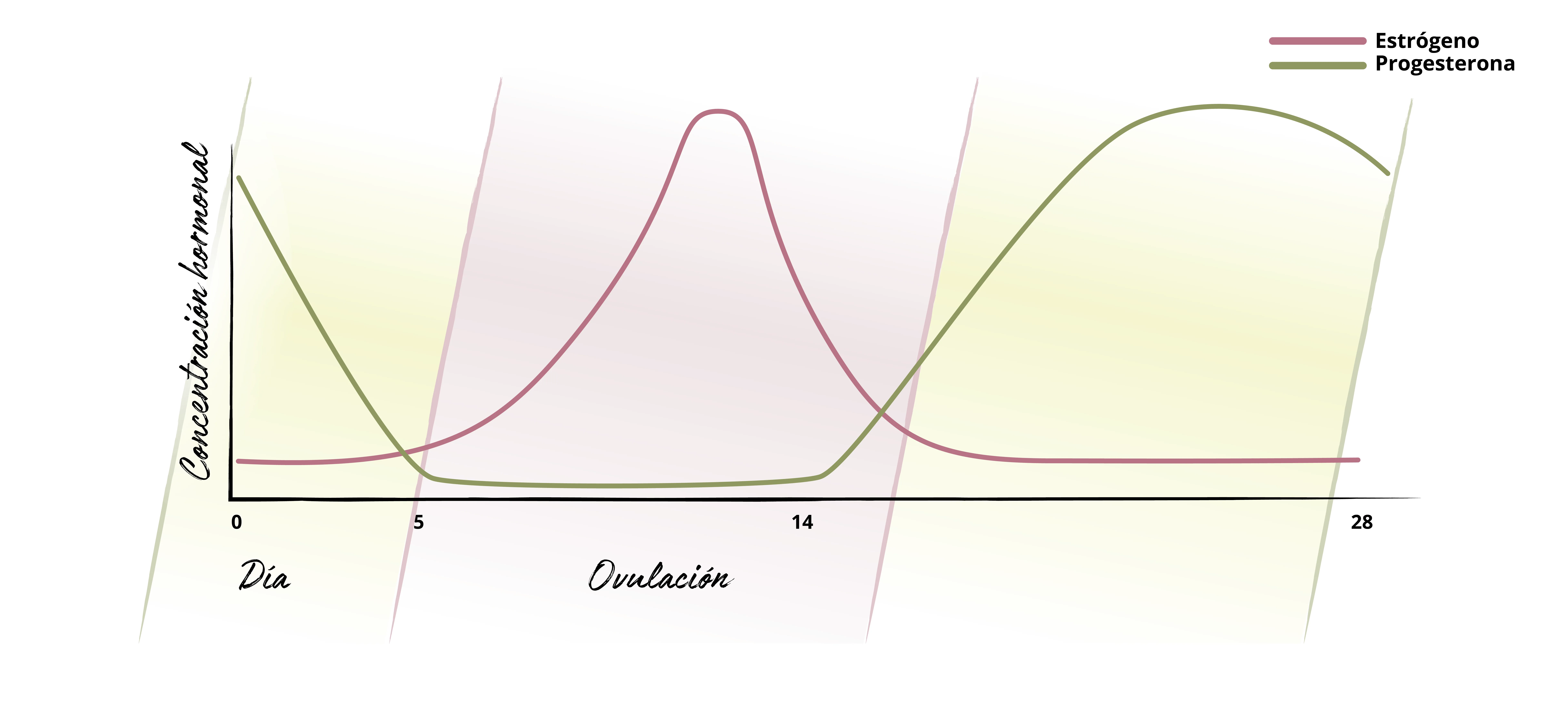 Concentración hormonal
